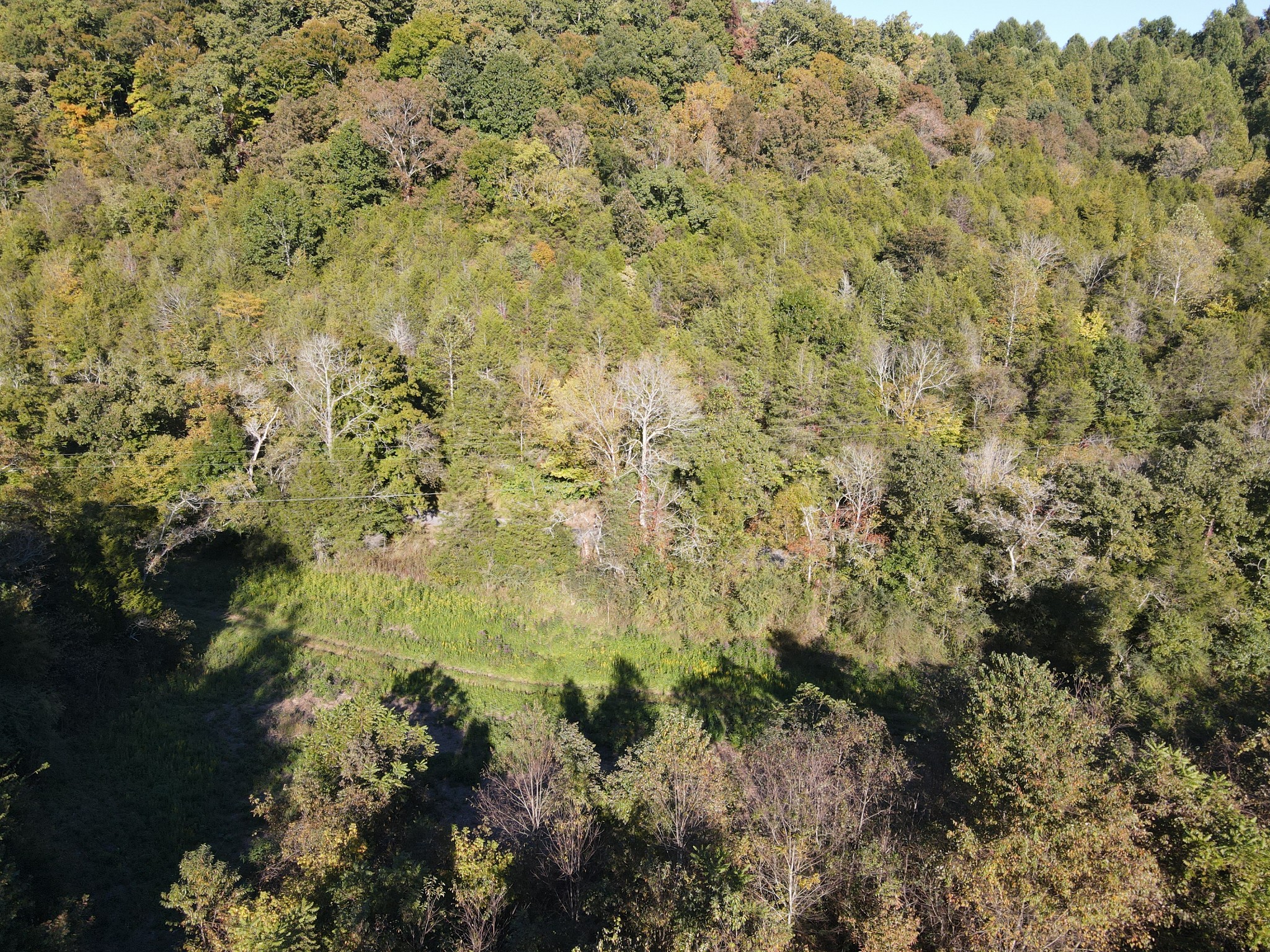 0 Cole Ridge Road Manchester TN 37355