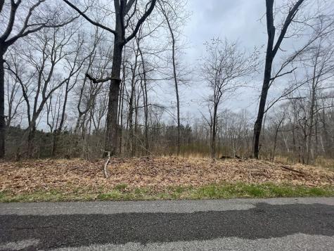1 Forest Trail Bumpus Mills TN 37028