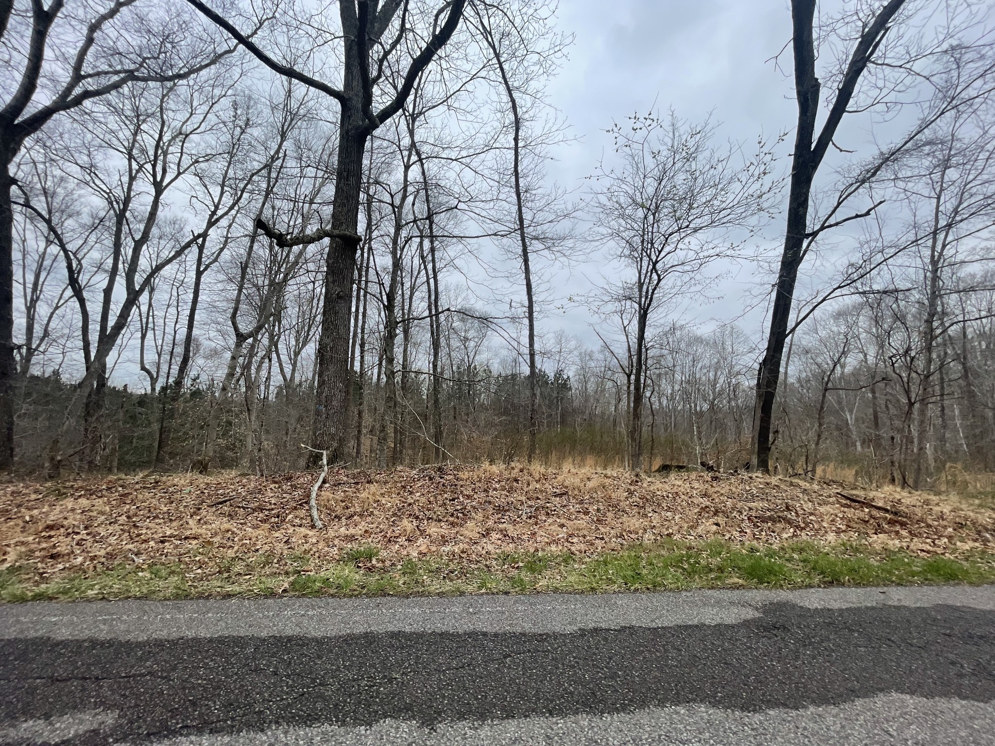 1 Forest Trail Bumpus Mills TN 37028
