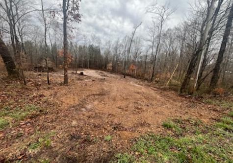 1 Forest Trail Bumpus Mills TN 37028