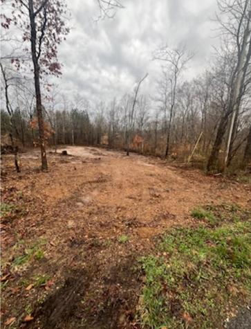 1 Forest Trail Bumpus Mills TN 37028