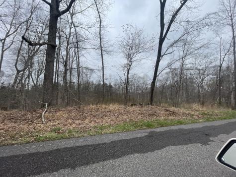 1 Forest Trail Bumpus Mills TN 37028