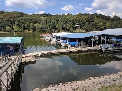 1 Forest Trail Bumpus Mills TN 37028