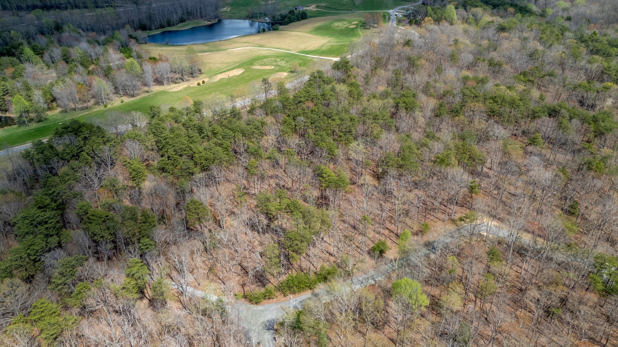 0 High Meadow Spencer TN 38585