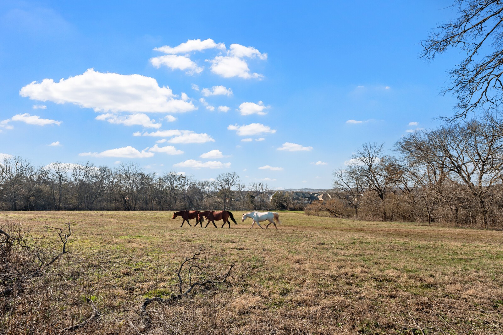 71 Blue Ridge Trace Hendersonville TN 37075