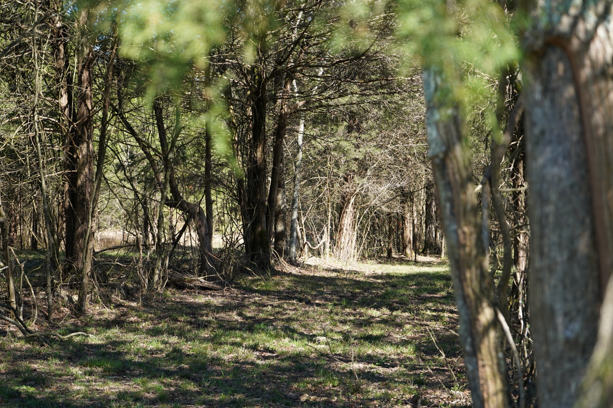 999 Old Lewisburg Highway Tract 1 Columbia TN 38401