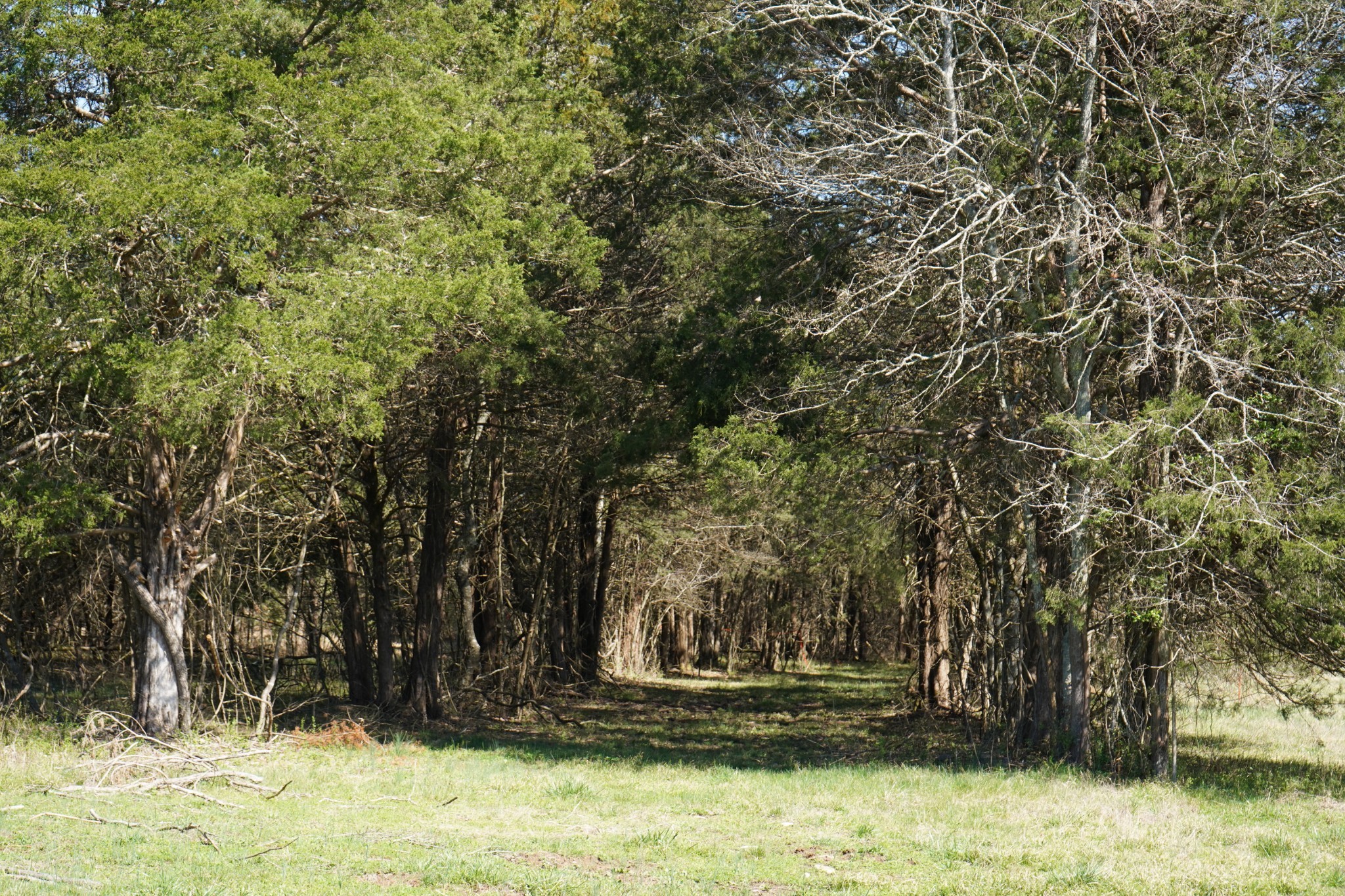 999 Old Lewisburg Highway Tract 1 Columbia TN 38401