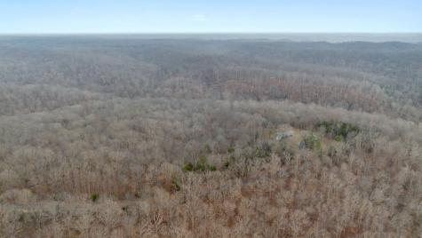 0 Griffintown Road White Bluff TN 37187