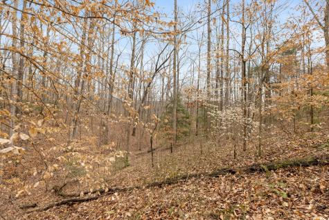 0 Griffintown Road White Bluff TN 37187
