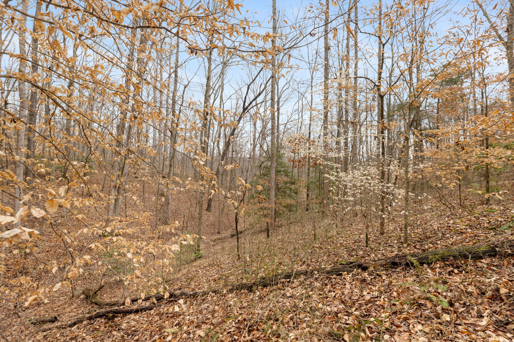 0 Griffintown Road White Bluff TN 37187