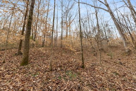0 Griffintown Road White Bluff TN 37187