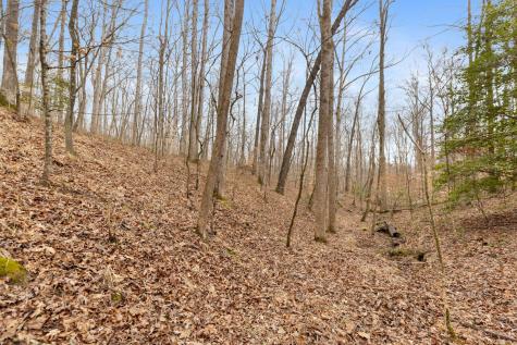 0 Griffintown Road White Bluff TN 37187
