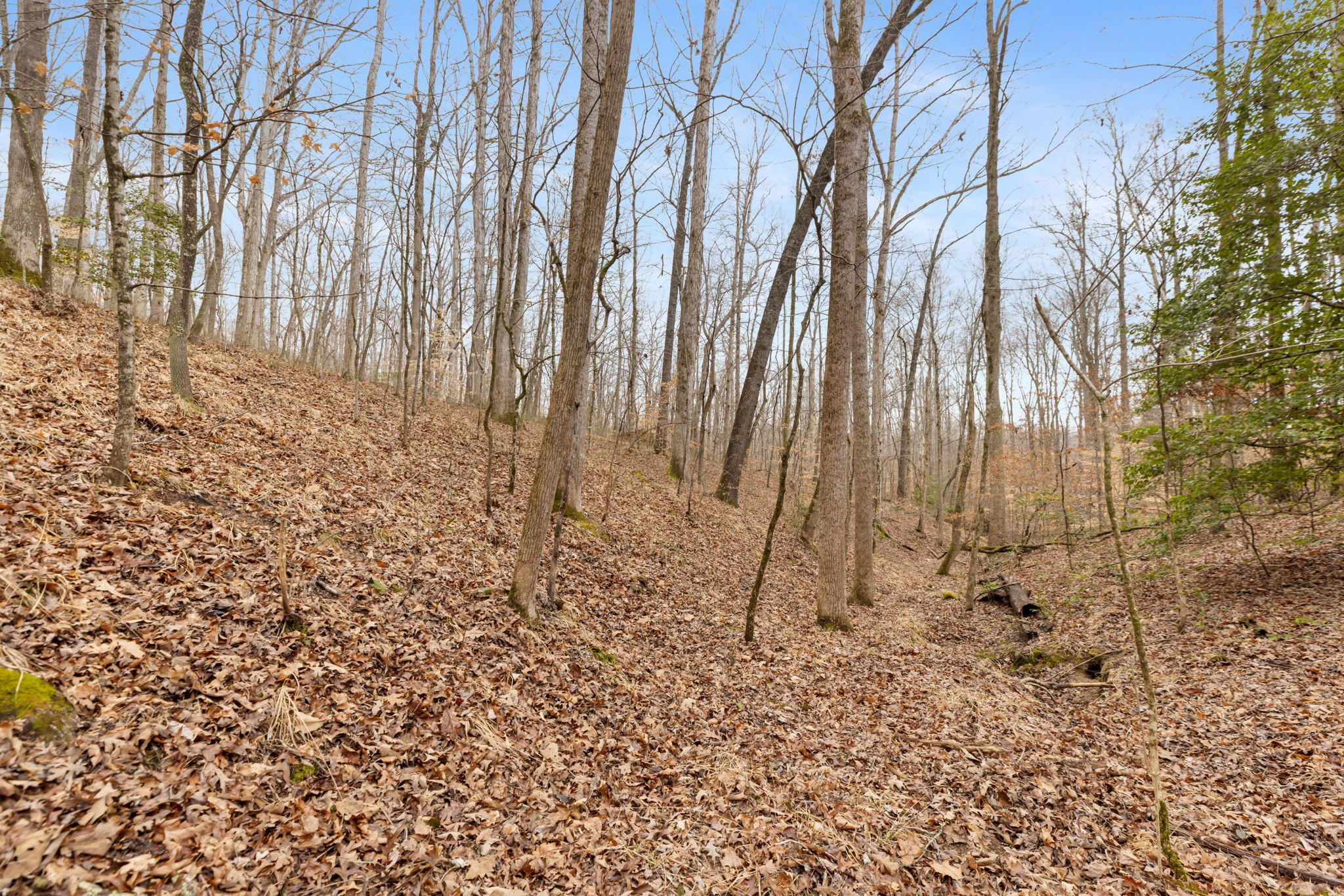 0 Griffintown Road White Bluff TN 37187
