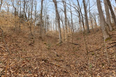 0 Griffintown Road White Bluff TN 37187