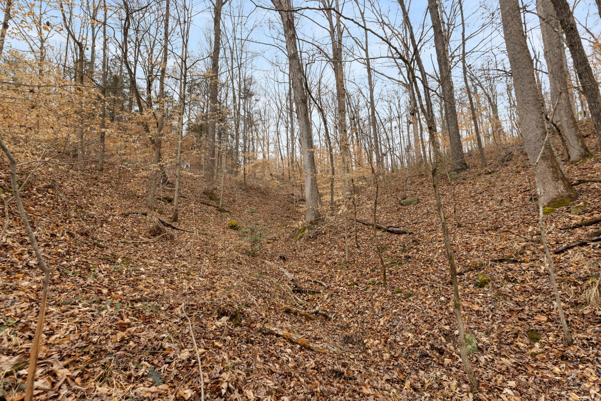 0 Griffintown Road White Bluff TN 37187