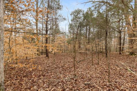 0 Griffintown Road White Bluff TN 37187