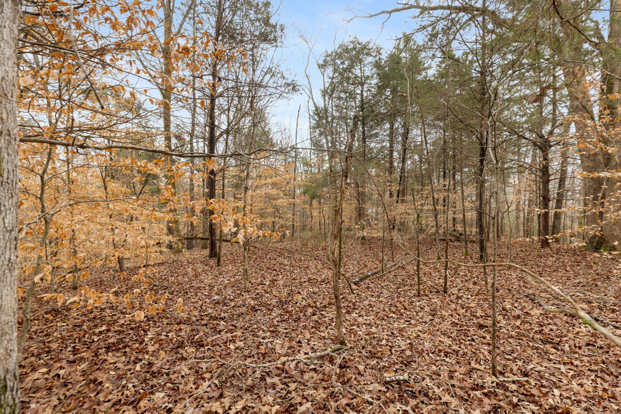 0 Griffintown Road White Bluff TN 37187