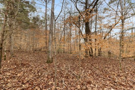 0 Griffintown Road White Bluff TN 37187