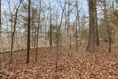 0 Griffintown Road White Bluff TN 37187