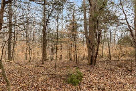 0 Griffintown Road White Bluff TN 37187