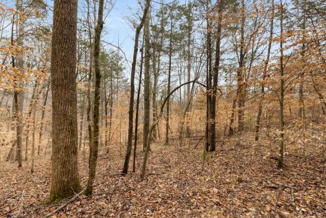 0 Griffintown Road White Bluff TN 37187