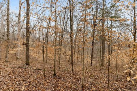0 Griffintown Road White Bluff TN 37187