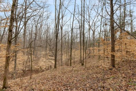 0 Griffintown Road White Bluff TN 37187