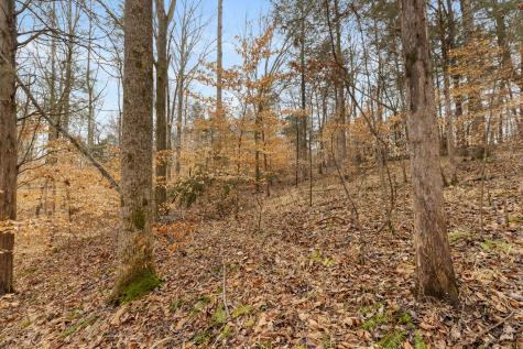 0 Griffintown Road White Bluff TN 37187