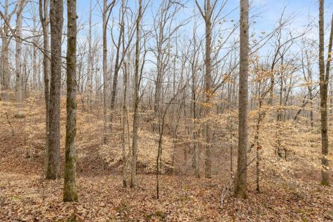 0 Griffintown Road White Bluff TN 37187