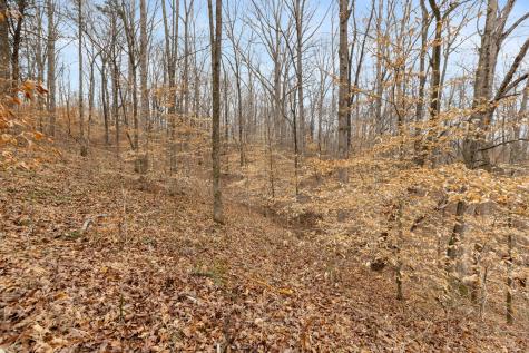 0 Griffintown Road White Bluff TN 37187