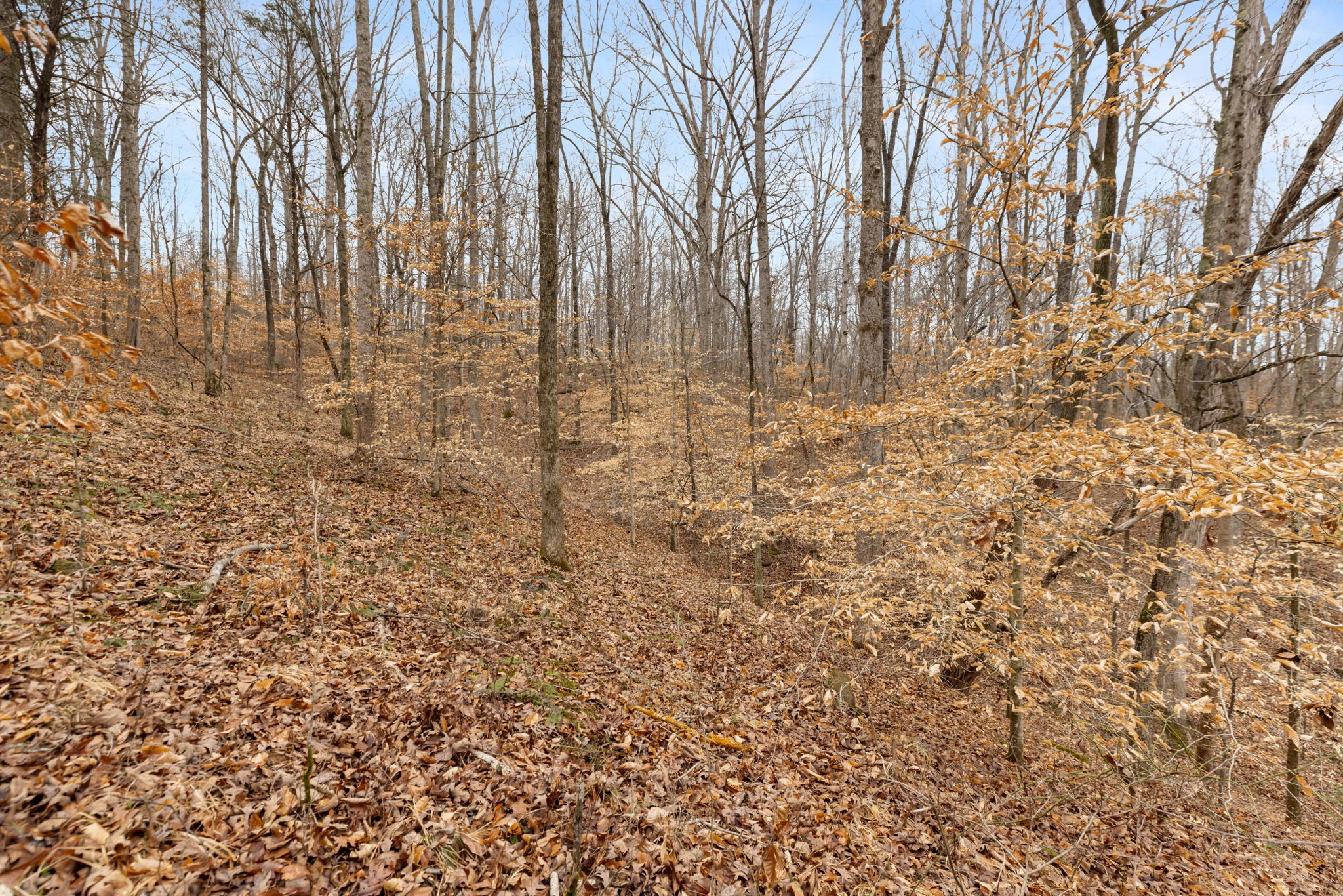 0 Griffintown Road White Bluff TN 37187
