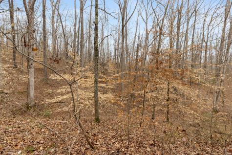 0 Griffintown Road White Bluff TN 37187