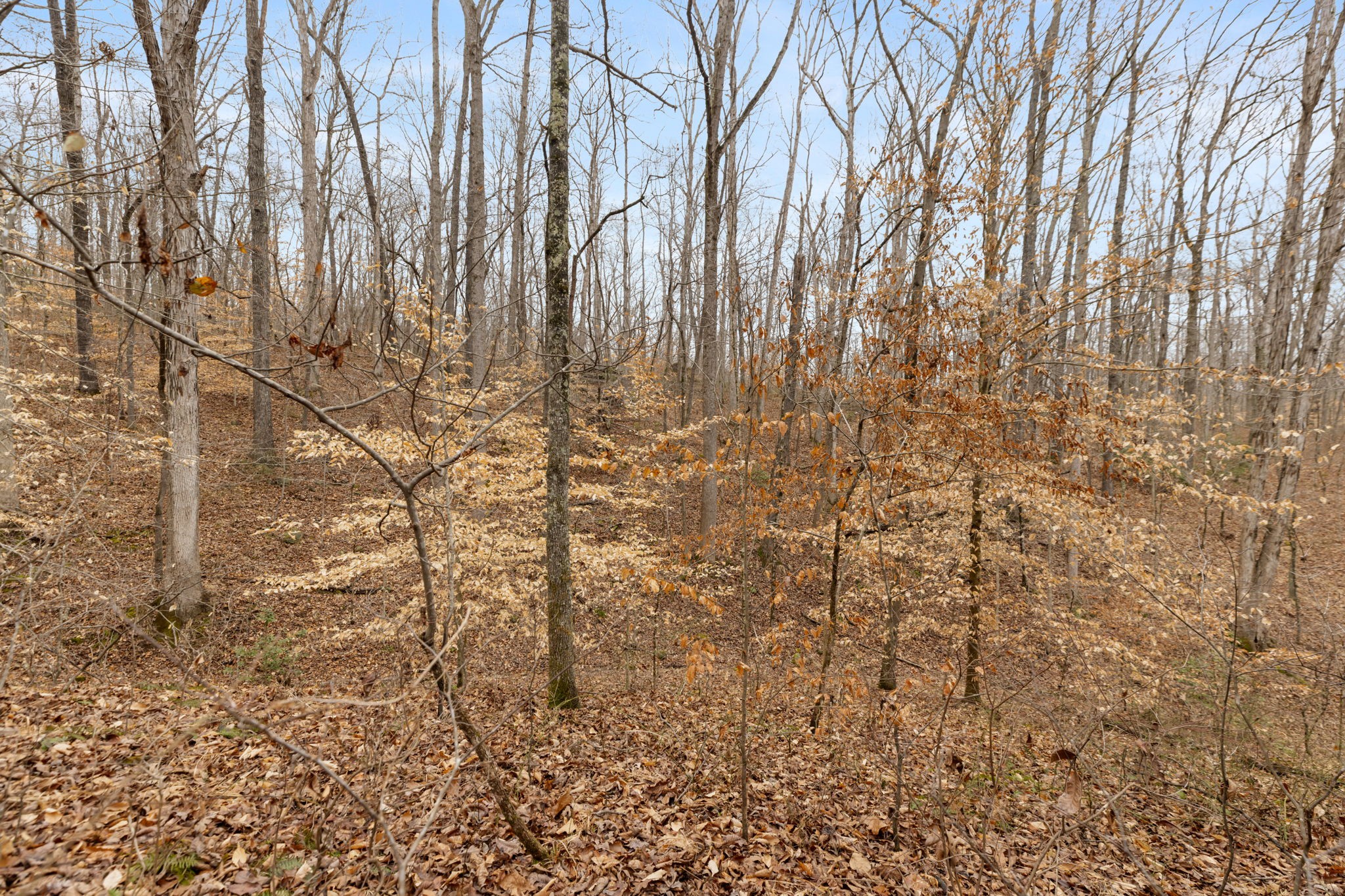 0 Griffintown Road White Bluff TN 37187