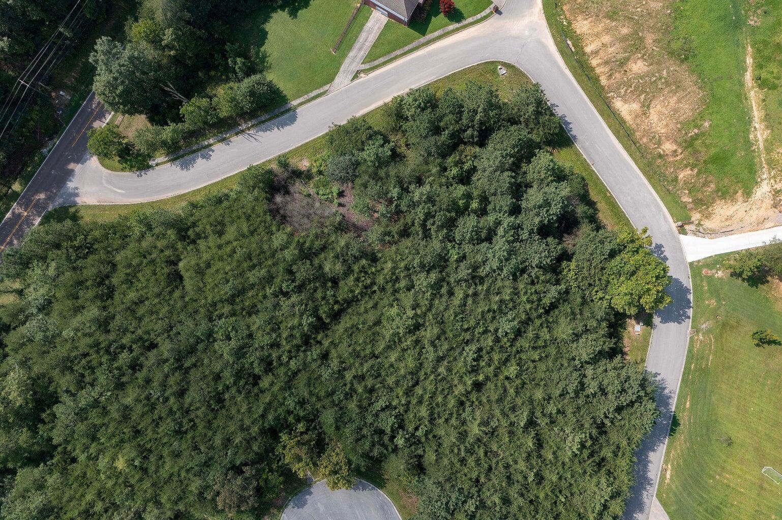 0 Cori Drive Dayton TN 37321