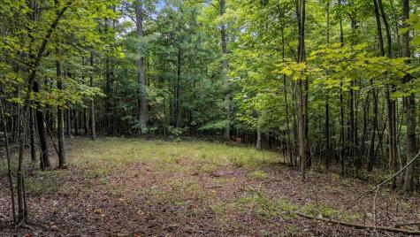 205 Whiskey Way Jasper TN 37347