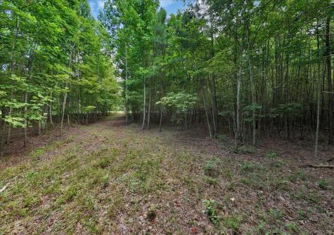 205 Whiskey Way Jasper TN 37347