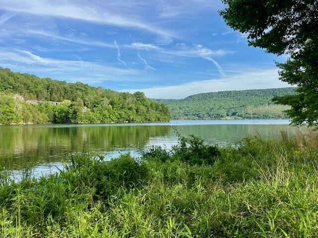 0 Edgewater Way Jasper TN 37347