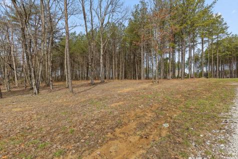 0 Pine Knot Pass Jasper TN 37347