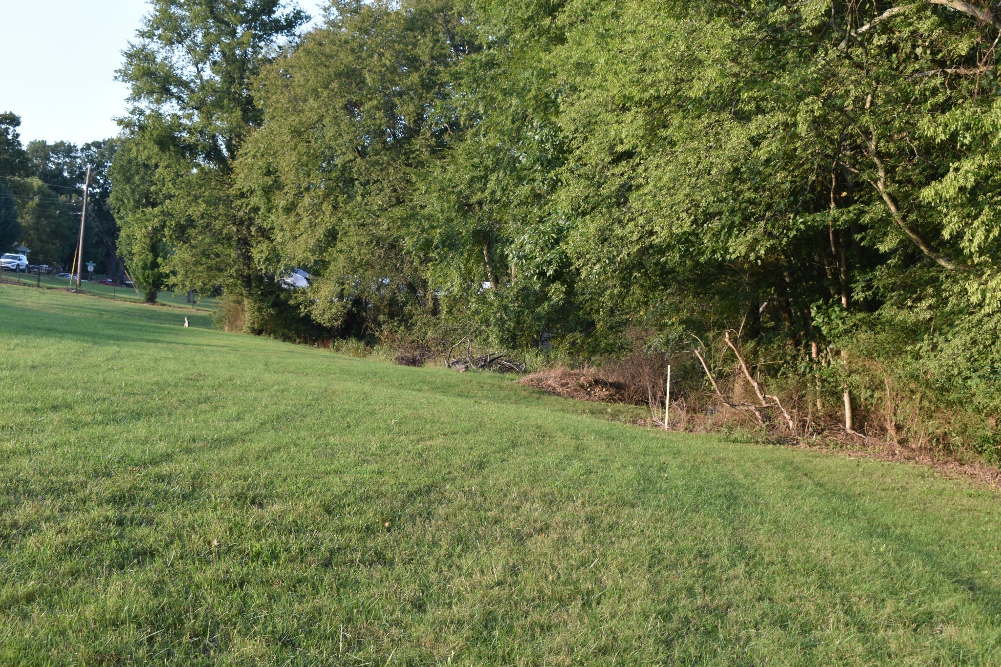 217 Bear Creek Pike Columbia TN 38401
