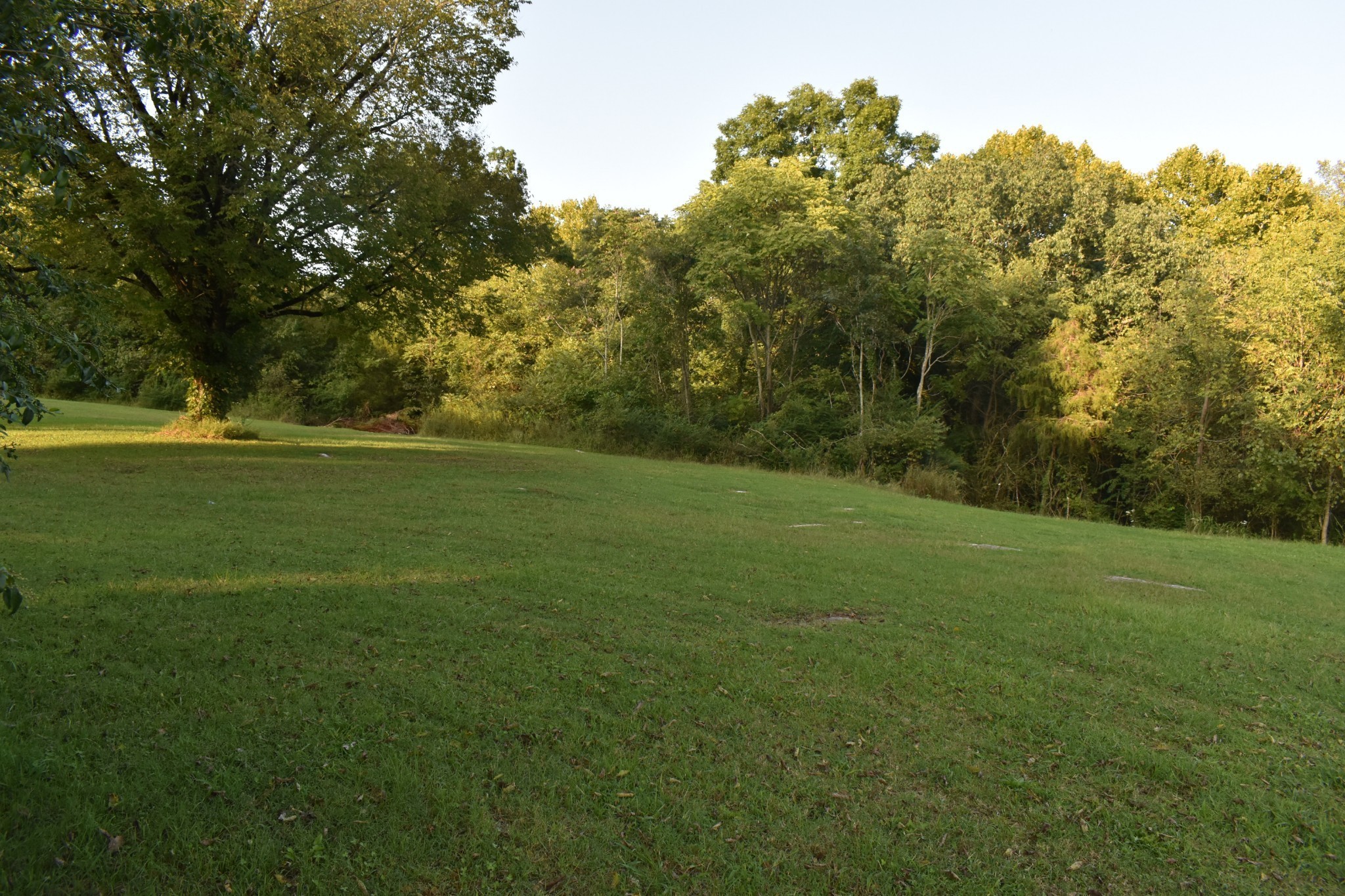 217 Bear Creek Pike Columbia TN 38401