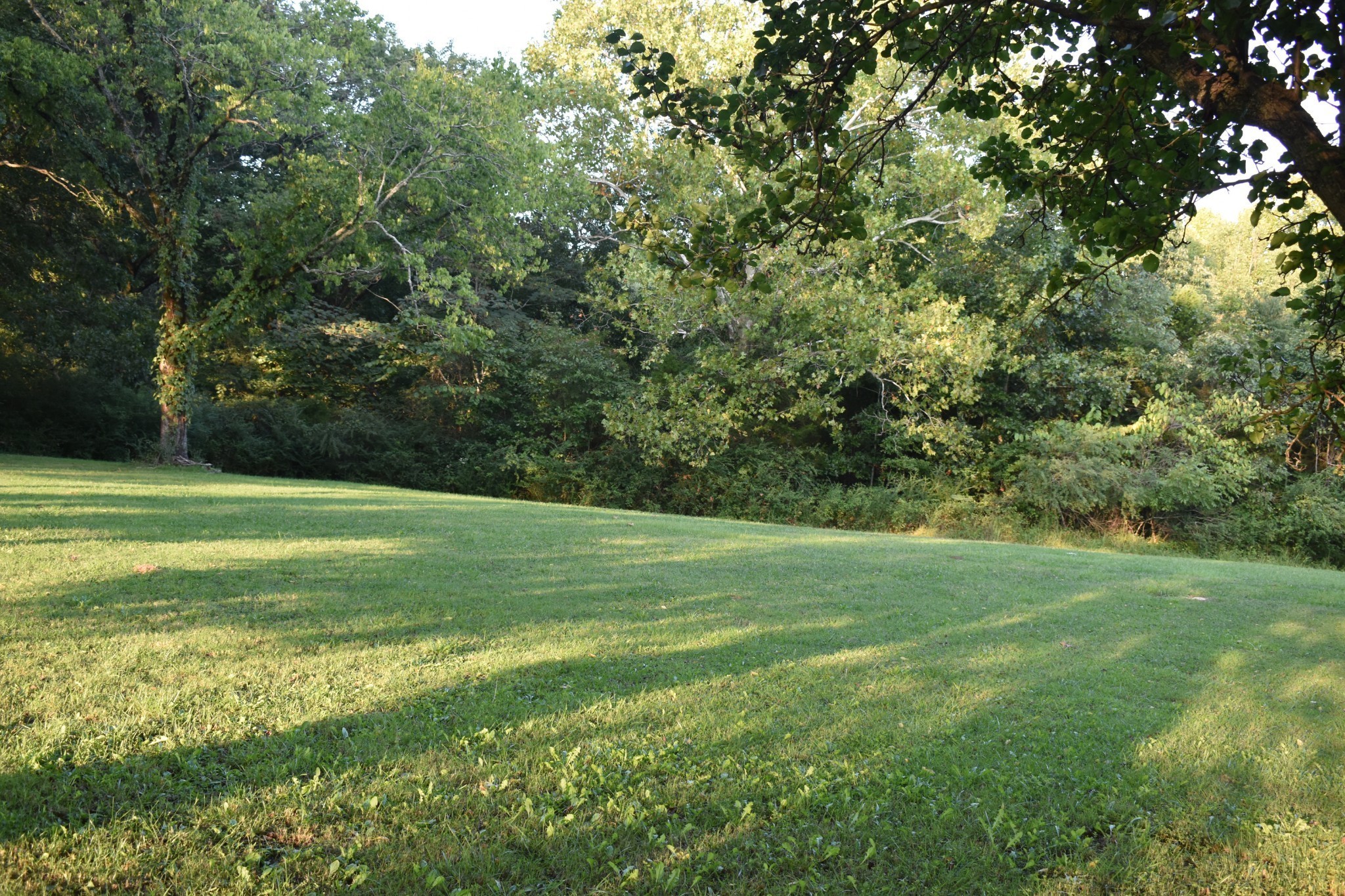 217 Bear Creek Pike Columbia TN 38401