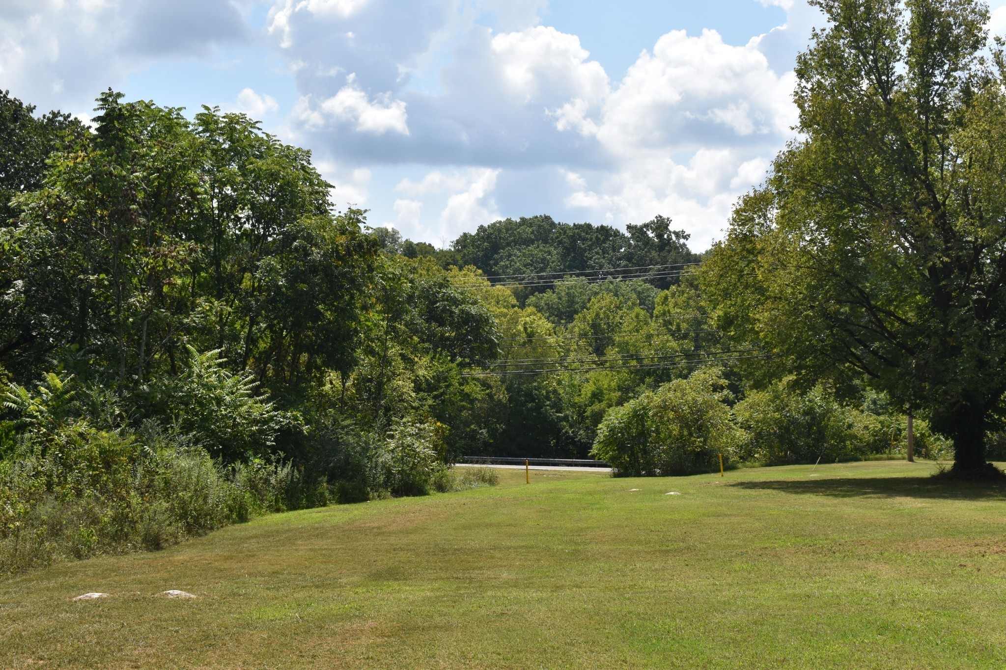 217 Bear Creek Pike Columbia TN 38401
