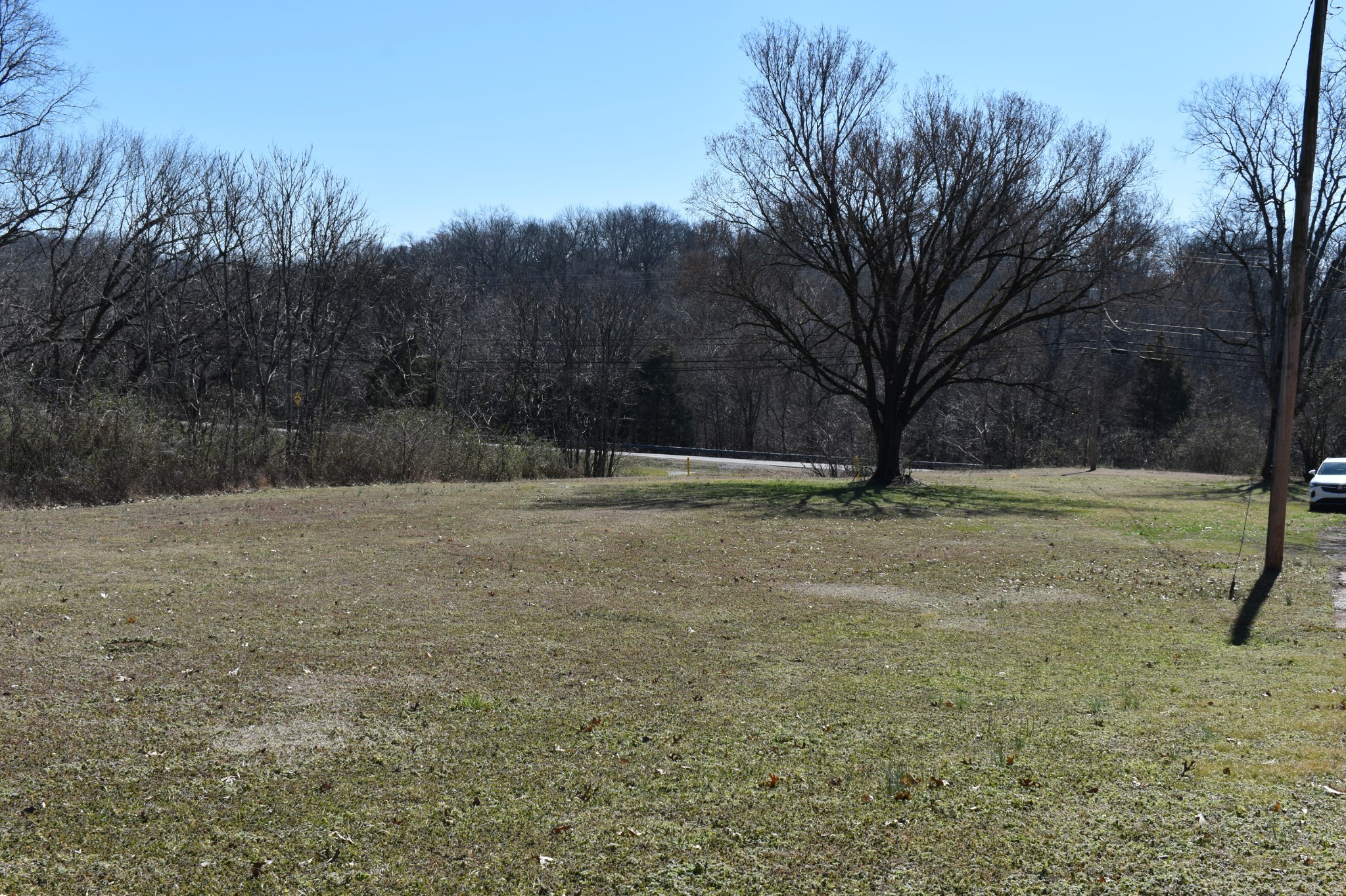 217 Bear Creek Pike Columbia TN 38401