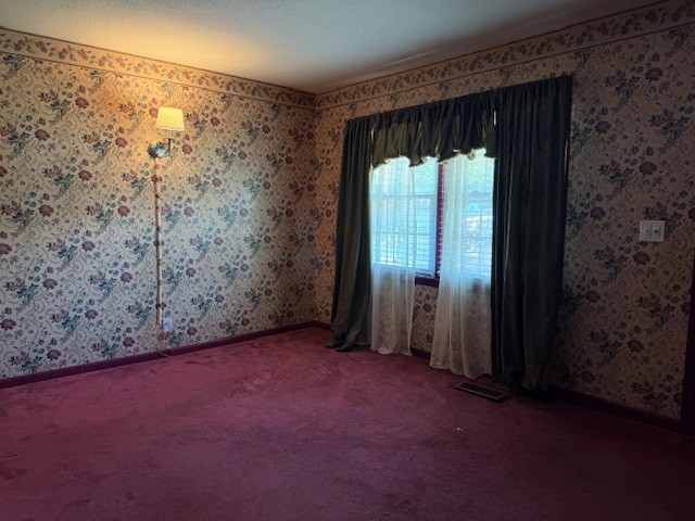 105 Vickers Drive Mcminnville TN 37110