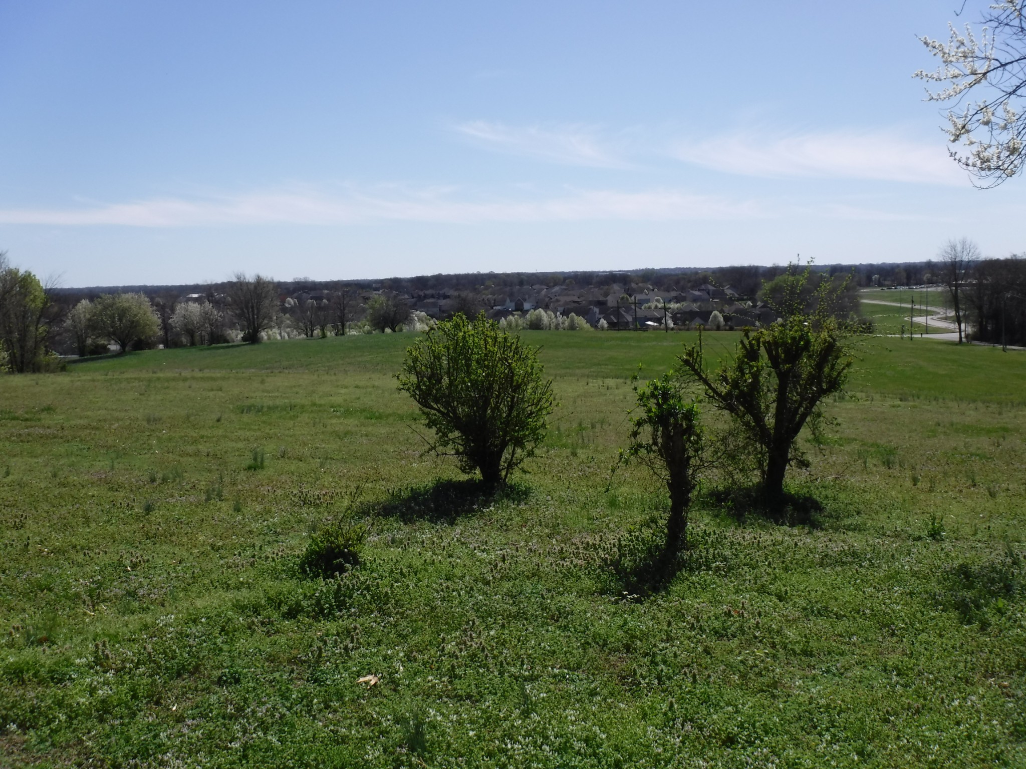 1231 Tiny Town Road Clarksville TN 37042