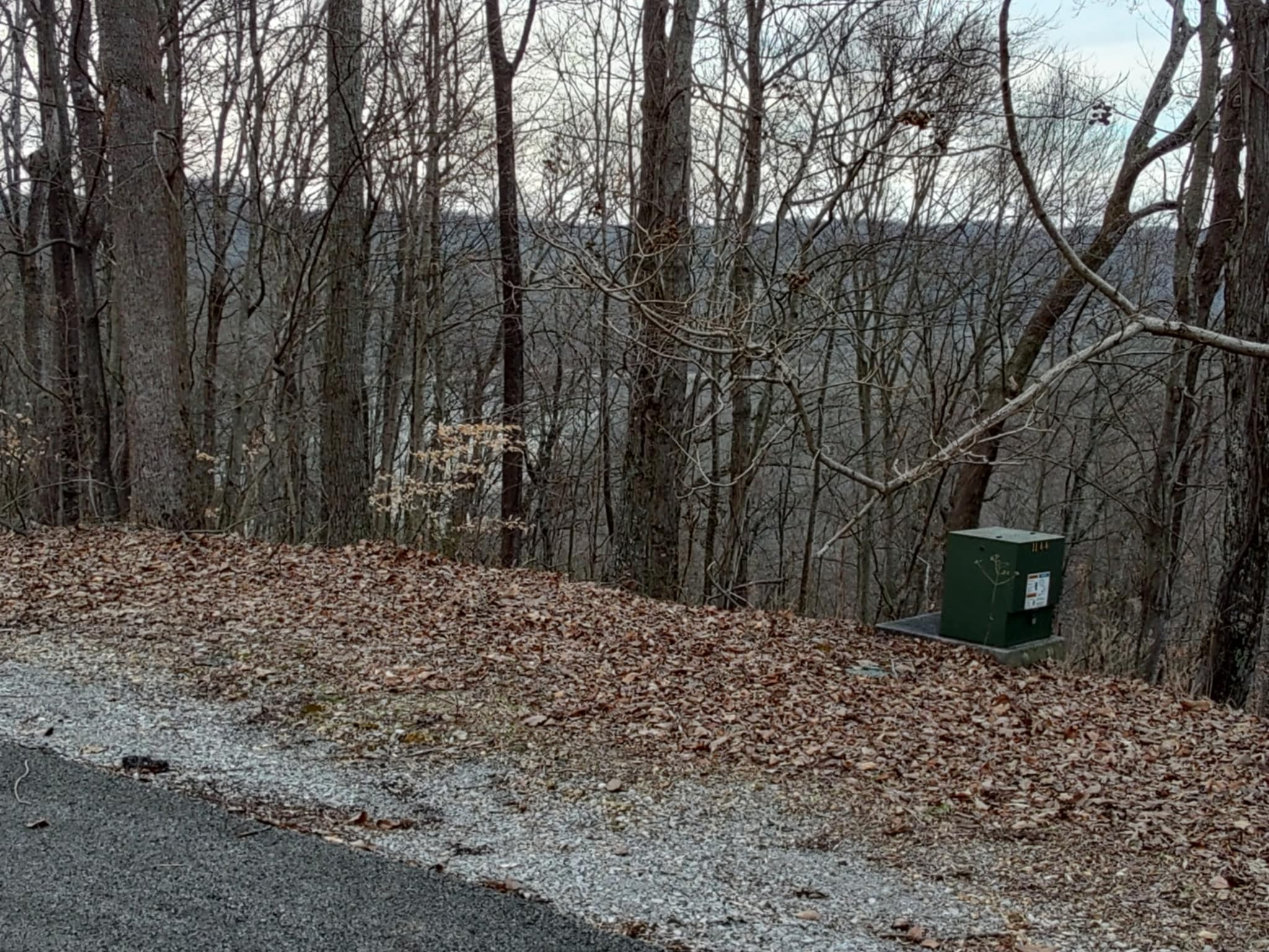 0 Swiper Drive Smithville TN 37166