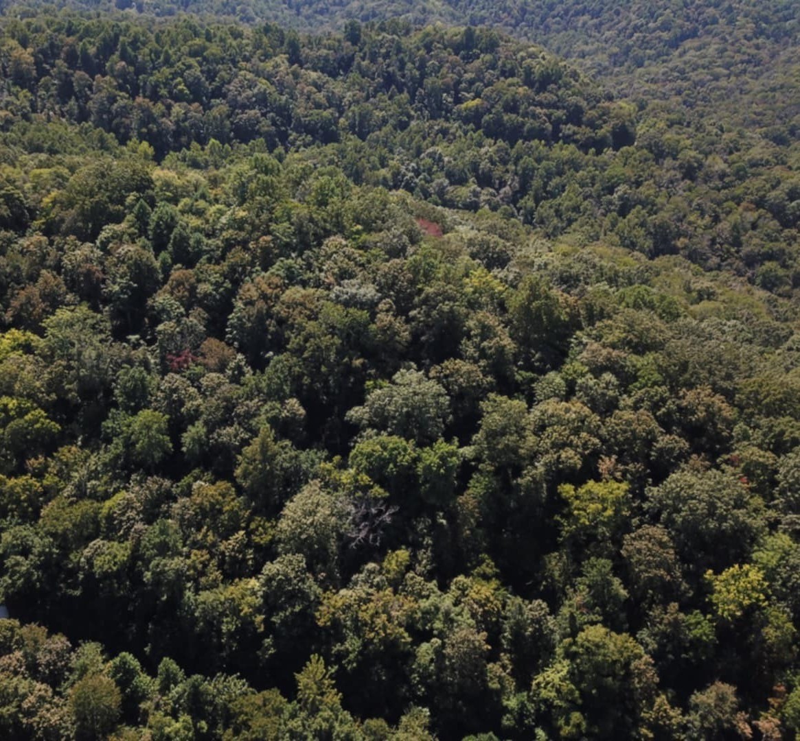 0 Swiper Drive Smithville TN 37166