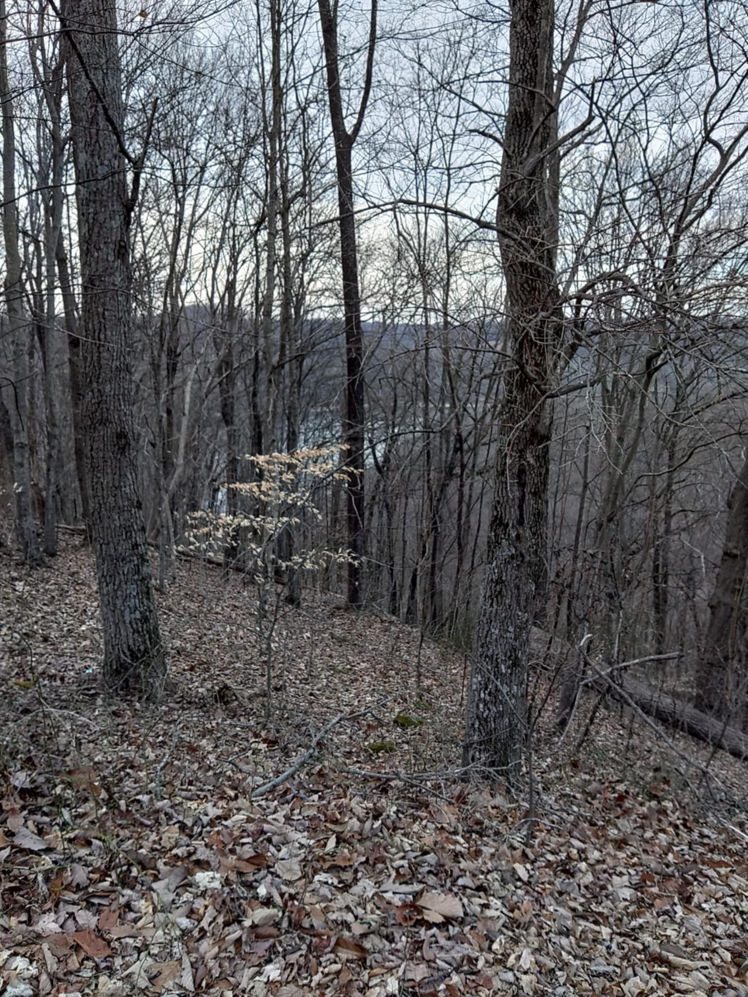 0 Swiper Drive Smithville TN 37166