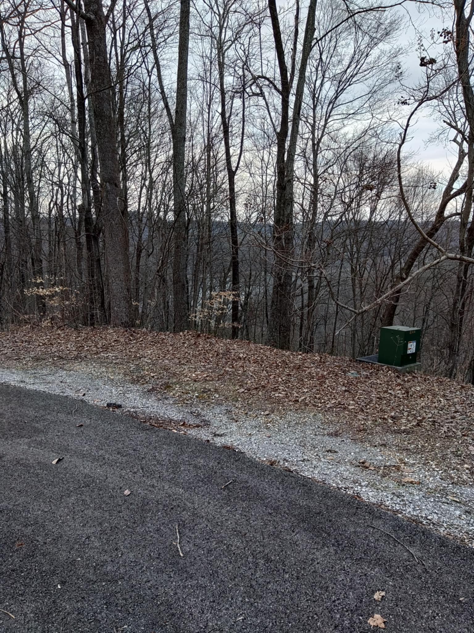 0 Swiper Drive Smithville TN 37166