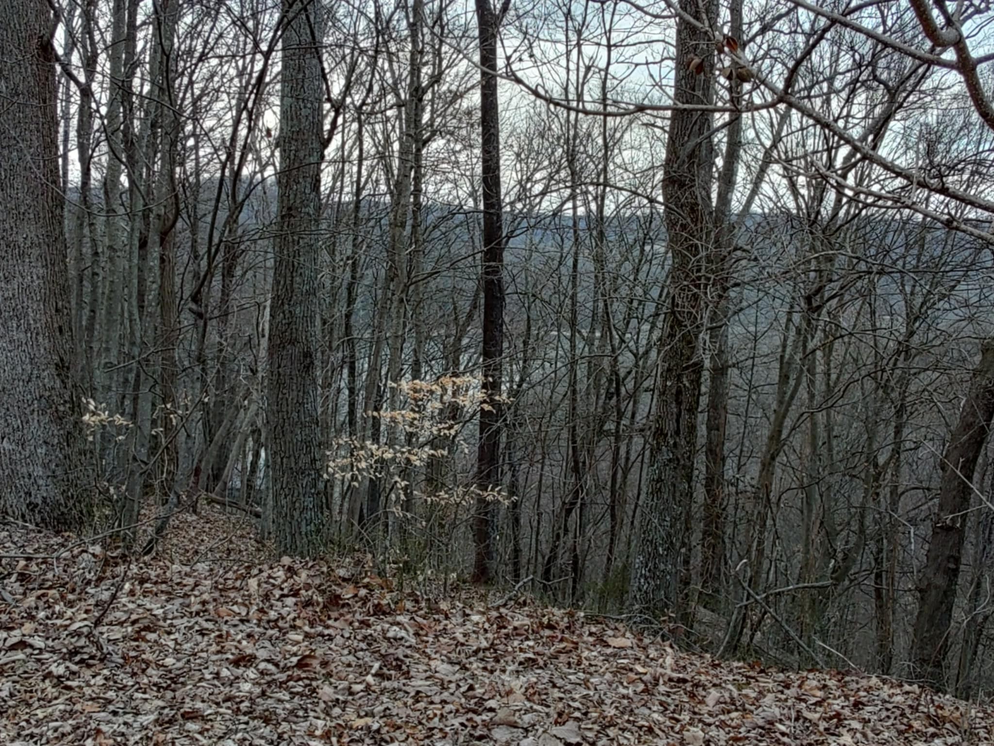 0 Swiper Drive Smithville TN 37166